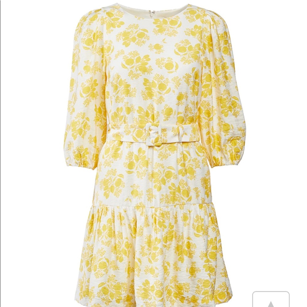 Citrus Blossom Belted Flounce Shift Dress